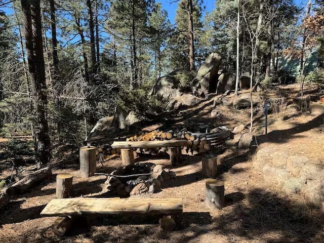 123 Pine Dr, Jemez Springs, NM 87025 - view of yard