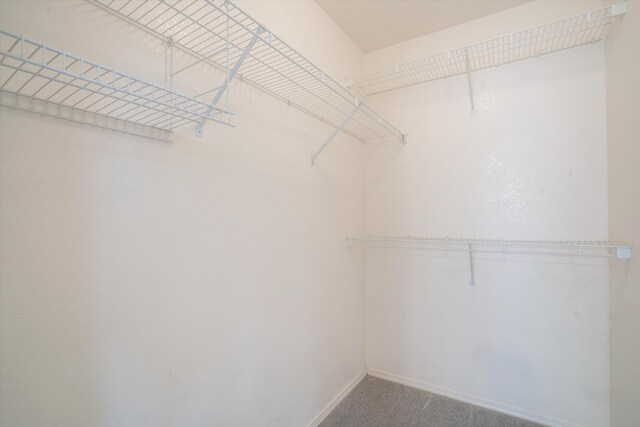 7512 Breckenridge Rd NW, Albuquerque, NM 87114 - photo 30