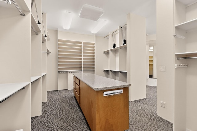 2600 Griegos Pl NW, Albuquerque, NM 87107 - walk in closet with dark colored carpet