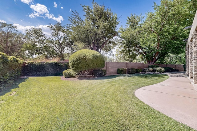2600 Griegos Pl NW, Albuquerque, NM 87107 - view of yard