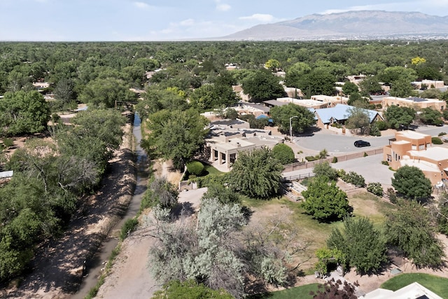2600 Griegos Pl NW, Albuquerque, NM 87107 - aerial view of a forest and a mountainous background