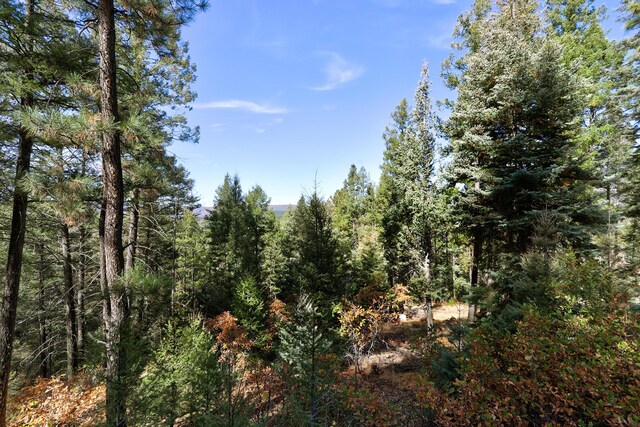 1341 Los Griegos Rd, Jemez Springs, NM 87025 - photo 27
