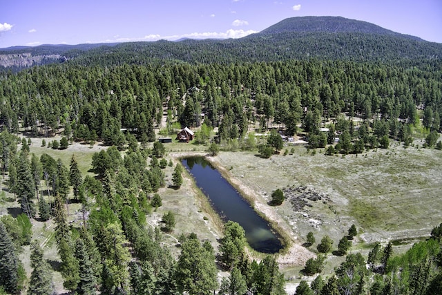 280 Ponderosa Way, Jemez Springs, NM 87025 - aerial view of property's location with a forest and a mountain backdrop