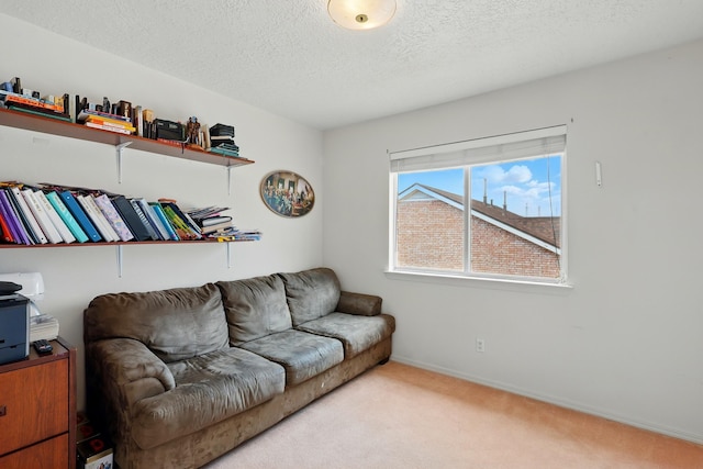 1401 Cerro Crestado Dr NW, Los Lunas, NM 87031 - photo 33
