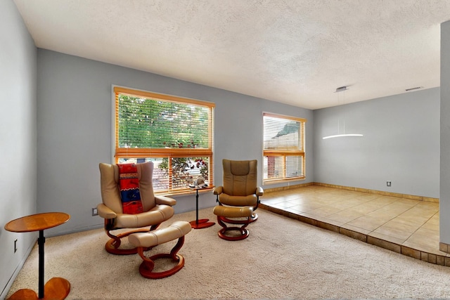 7313 Valley Forge Rd NE, Albuquerque, NM 87109 - sitting room featuring carpet floors, a textured ceiling, and tile patterned flooring