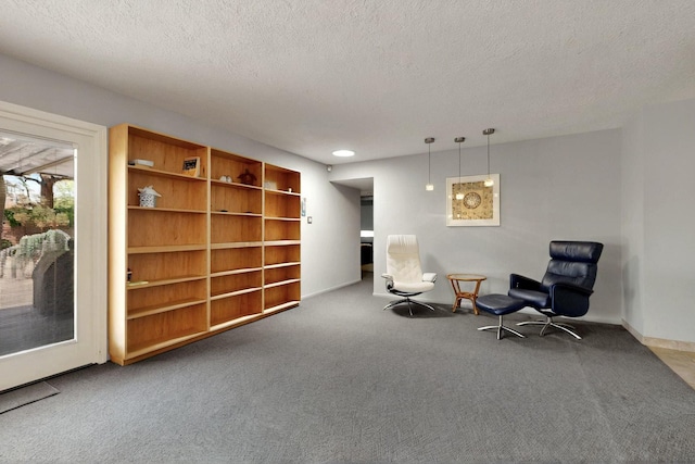 7313 Valley Forge Rd NE, Albuquerque, NM 87109 - sitting room with carpet flooring, a textured ceiling, and baseboards