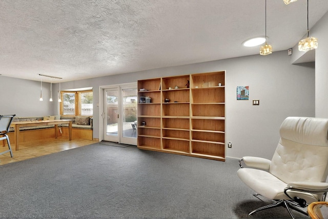 7313 Valley Forge Rd NE, Albuquerque, NM 87109 - sitting room featuring light carpet, a textured ceiling, and baseboards