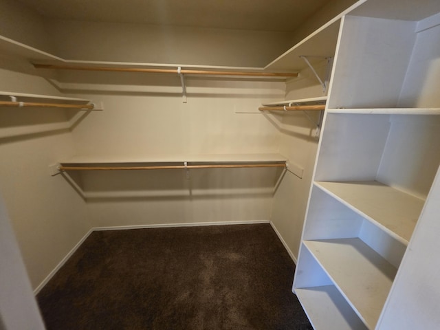 8 Revelations Pl SW, Los Lunas, NM 87031 - walk in closet with carpet floors