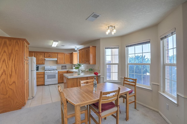 8615 Tierra Alegre Dr NE, Albuquerque, NM 87122 - photo 11