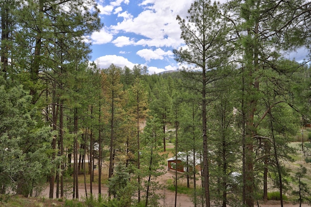 78 Slate Rd, Jemez Springs, NM 87025 - view of wooded area