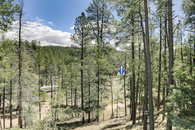 78 Slate Rd, Jemez Springs, NM 87025 - view of woods
