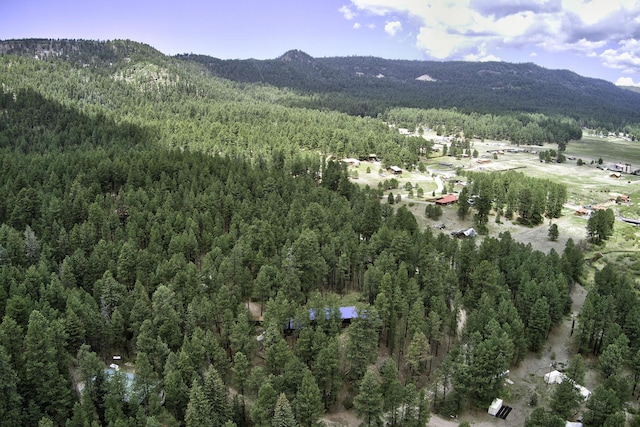 78 Slate Rd, Jemez Springs, NM 87025 - view of property location with a forest and a mountainous background