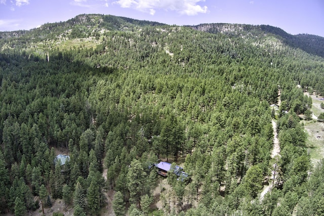 78 Slate Rd, Jemez Springs, NM 87025 - view of mountain background with a heavily wooded area