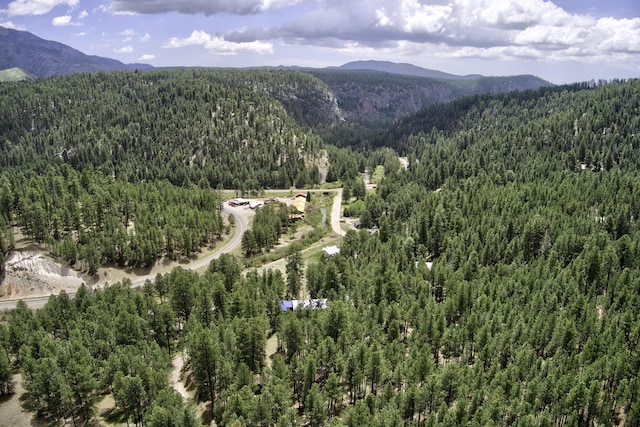 78 Slate Rd, Jemez Springs, NM 87025 - view of mountain backdrop featuring a heavily wooded area