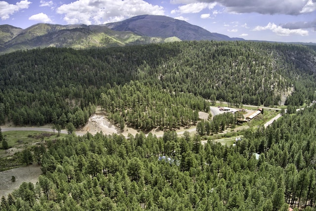 78 Slate Rd, Jemez Springs, NM 87025 - view of mountain backdrop with a forest
