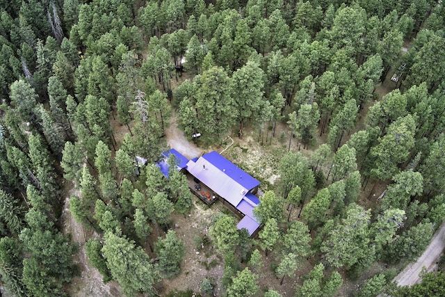 78 Slate Rd, Jemez Springs, NM 87025 - aerial view of property and surrounding area