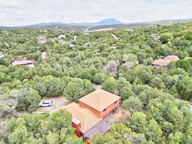 98 Lagarto Rd, Tijeras, NM 87059 - photo 26
