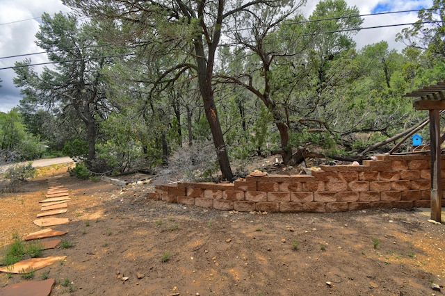 98 Lagarto Rd, Tijeras, NM 87059 - photo 22