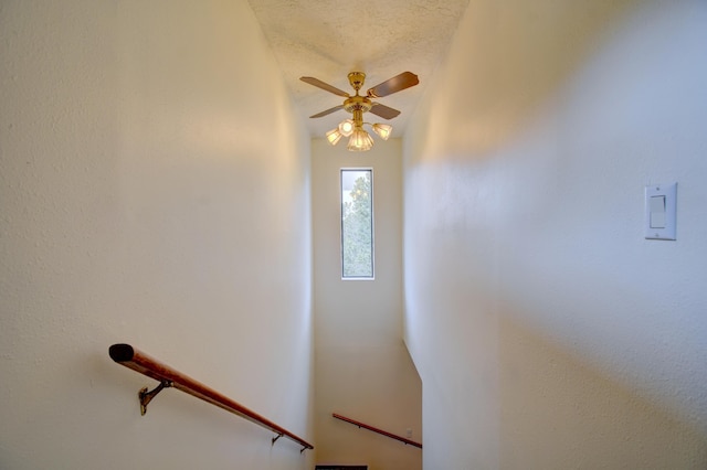 98 Lagarto Rd, Tijeras, NM 87059 - photo 17