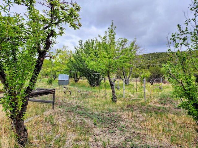 83 Paseo De San Antonio Rd, Placitas, NM 87043 - view of yard