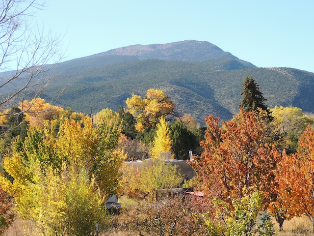 83 Paseo De San Antonio Rd, Placitas, NM 87043 - mountain view