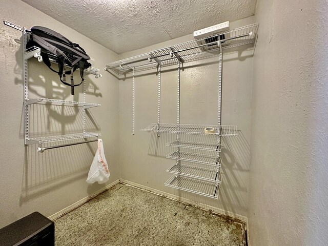 3901 70th St NW, Albuquerque, NM 87120 - view of spacious closet