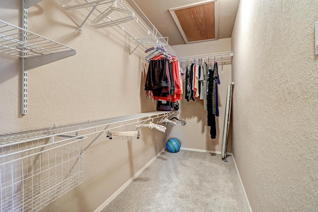 12323 Haines Ave NE, Albuquerque, NM 87112 - walk in closet with carpet flooring