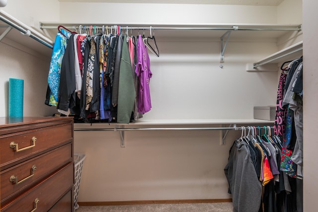 10301 Lawton St NW, Albuquerque, NM 87114 - photo 29