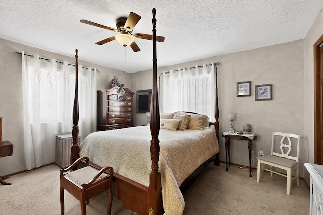 2809 Palacio Pl SW, Albuquerque, NM 87105 - photo 24