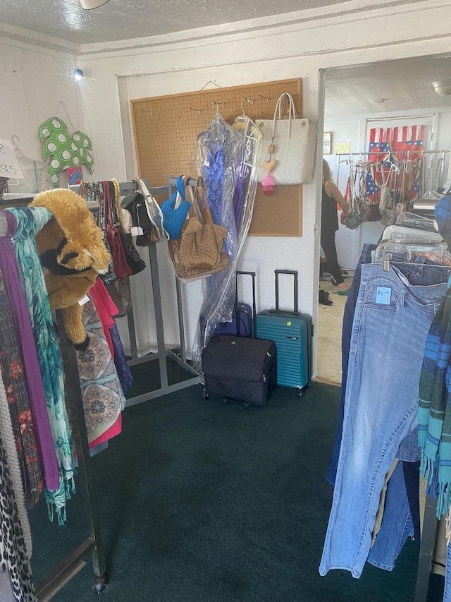 136 Calle Del Presidente, Bernalillo, NM 87004 - view of storage area