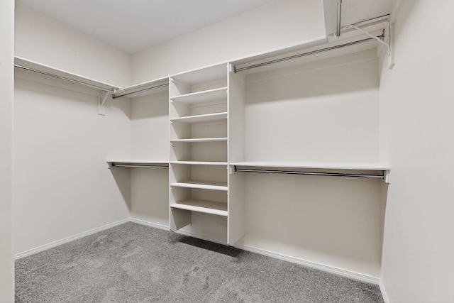 215 Adeline Ave, Los Lunas, NM 87031 - spacious closet with carpet