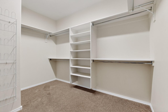 275 Adeline Ave, Los Lunas, NM 87031 - walk in closet featuring carpet floors