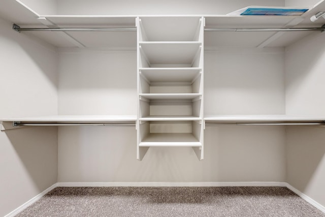 315 Adeline Ave, Los Lunas, NM 87031 - spacious closet with carpet