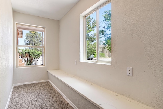 1029 Forrester St NW, Albuquerque, NM 87102 - photo 7