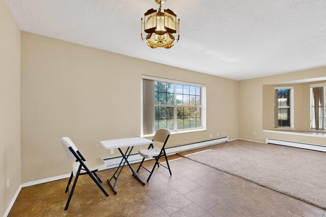 4501 Shadow Ave NW, Albuquerque, NM 87114 - photo 10