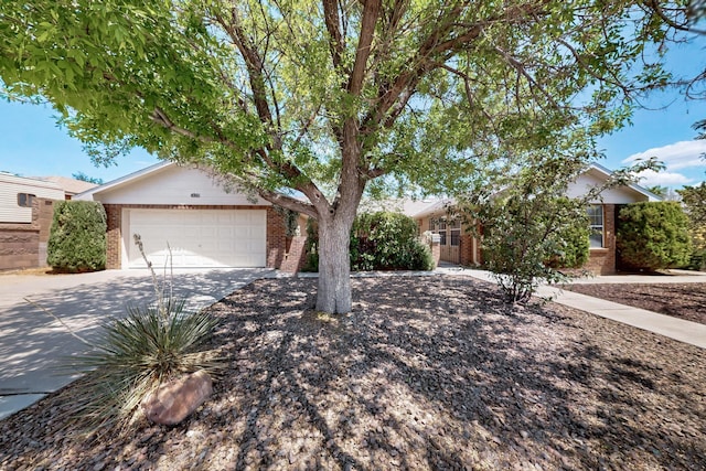 4501 Shadow Ave NW, Albuquerque, NM 87114 - photo 2