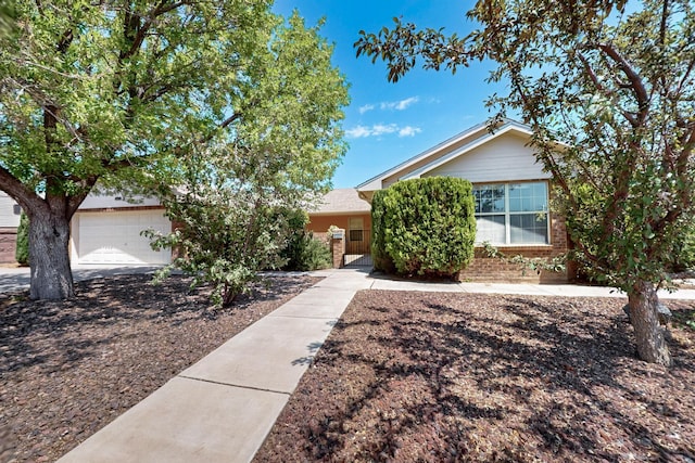 4501 Shadow Ave NW, Albuquerque, NM 87114 - photo 1