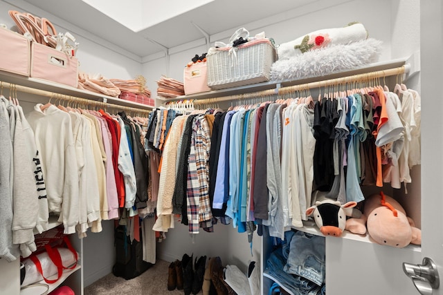 9128 Vista Bosquejo Rd NW, Albuquerque, NM 87120 - spacious closet with carpet flooring