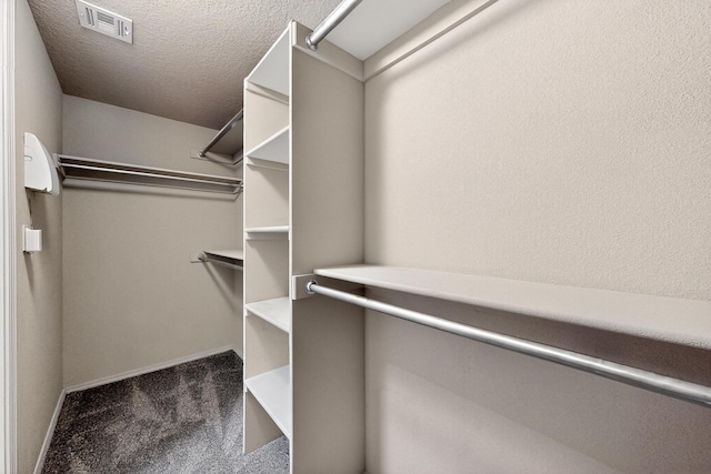 805 Palo Duro Dr, Bernalillo, NM 87004 - walk in closet with carpet floors