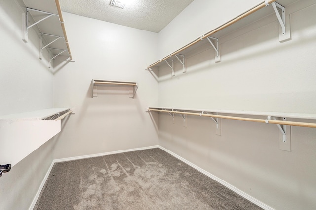 843 Mesa Roja Trl NE, Rio Rancho, NM 87124 - spacious closet featuring carpet flooring