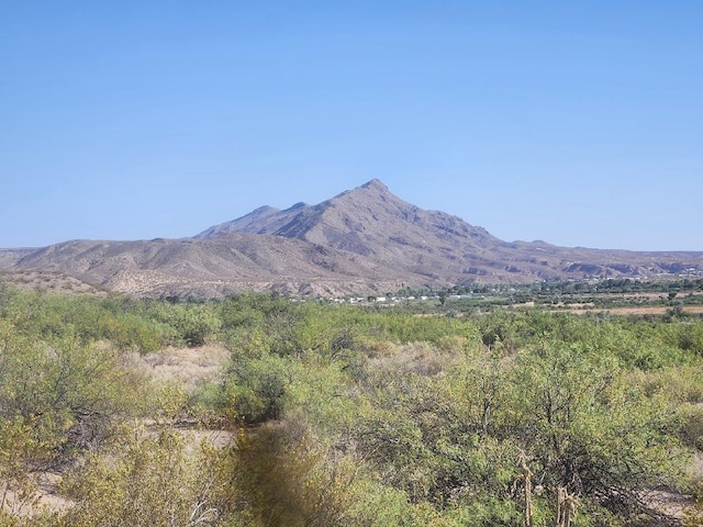 301 Stagecoach Dr, Elephant Butte, NM 87935 - mountain view