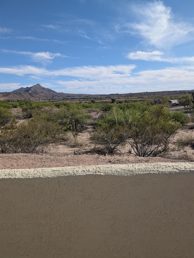 301 Stagecoach Dr, Elephant Butte, NM 87935 - mountain view