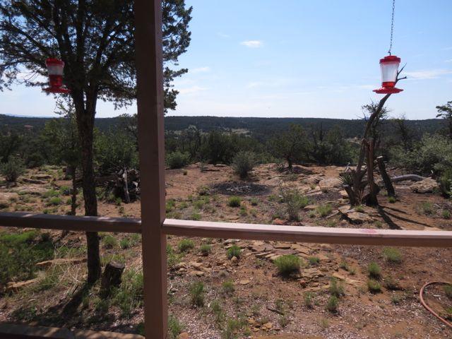403 Candy Kitchen Rd, Ramah, NM 87321 - view of yard