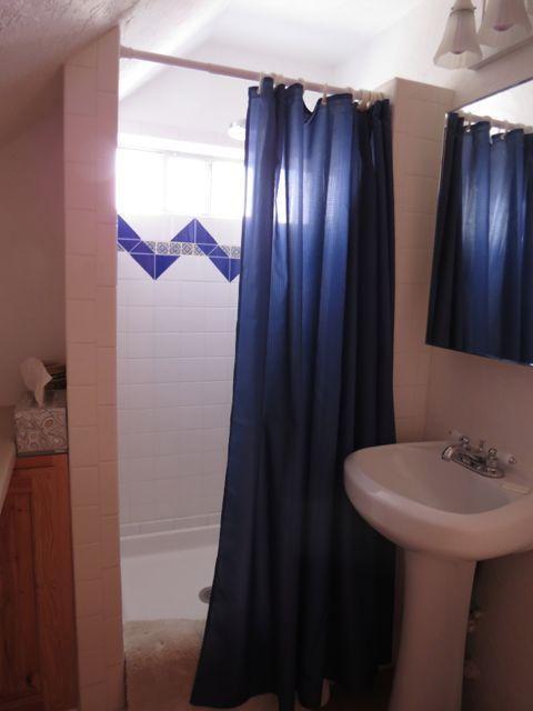 403 Candy Kitchen Rd, Ramah, NM 87321 - bathroom with a stall shower and vaulted ceiling