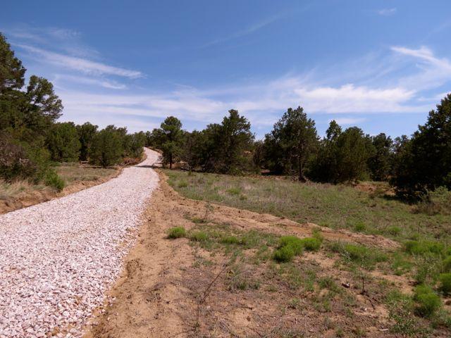 403 Candy Kitchen Rd, Ramah, NM 87321 - view of road with a wooded view