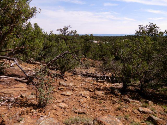 403 Candy Kitchen Rd, Ramah, NM 87321 - view of local wilderness