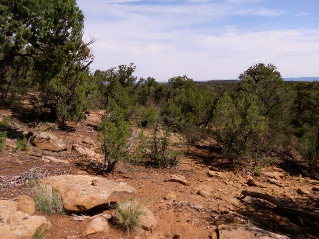 403 Candy Kitchen Rd, Ramah, NM 87321 - view of nature