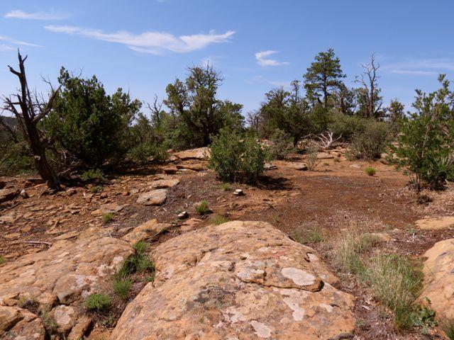 403 Candy Kitchen Rd, Ramah, NM 87321 - view of nature