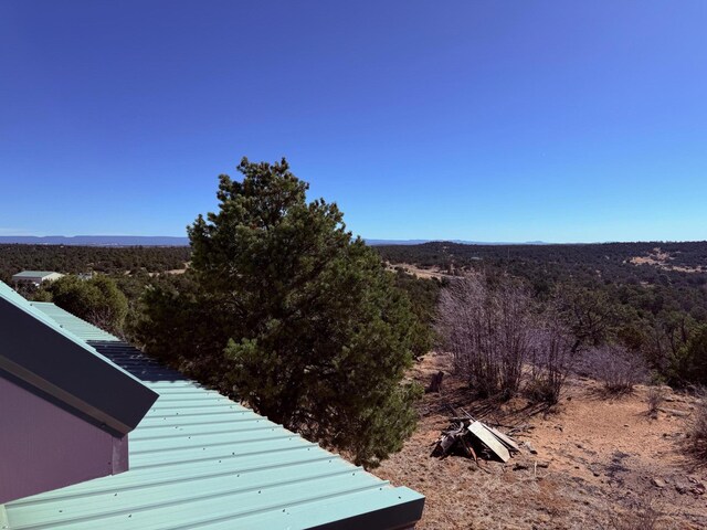 403 Candy Kitchen Rd, Ramah, NM 87321 - exterior view of a forest