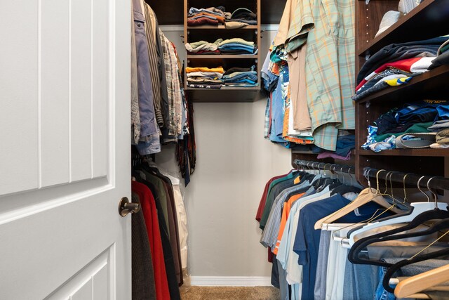 2633 Globe Ct NE, Rio Rancho, NM 87124 - walk in closet with carpet